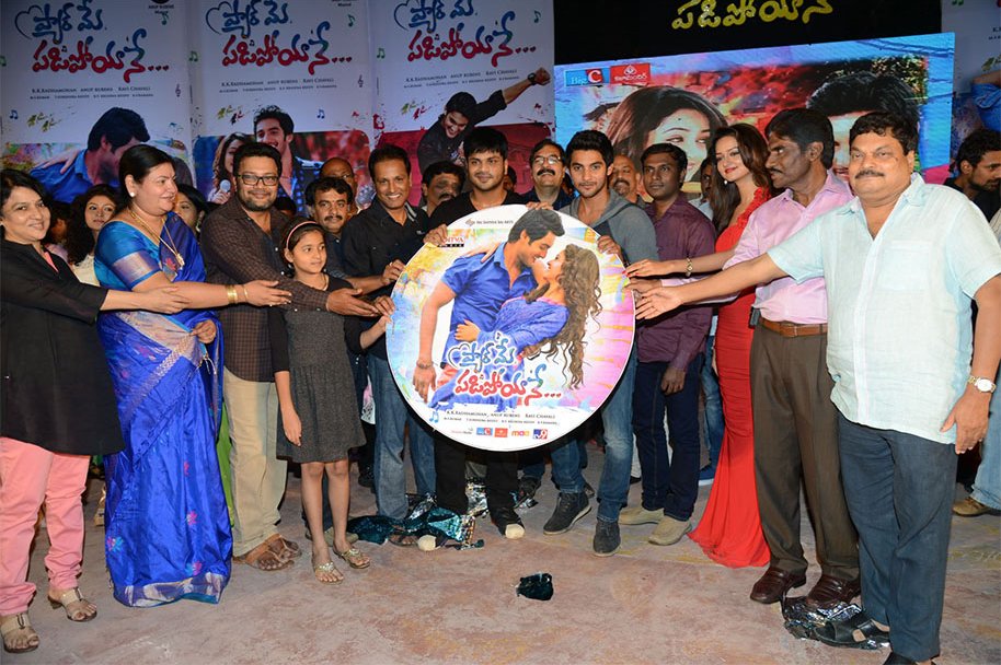 Pyaar-Mein-Padipoyane-Audio-Launch